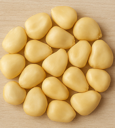 1kg Maize (FAW Syn-W)