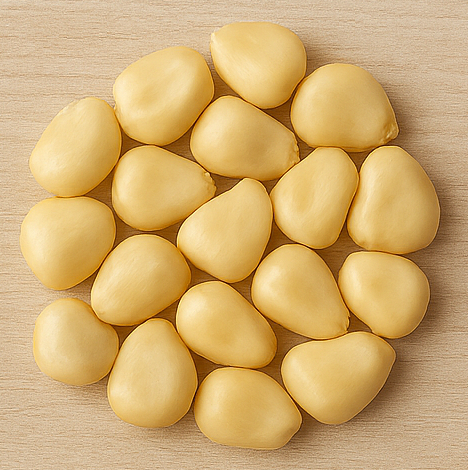 1kg Maize (FAW Syn-W)