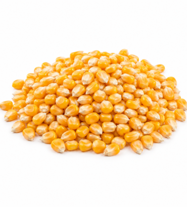 Maize (Br9928) - 1kg