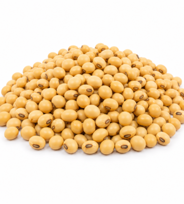 Soybean<br>(TGX 1448-2E) - 1kg