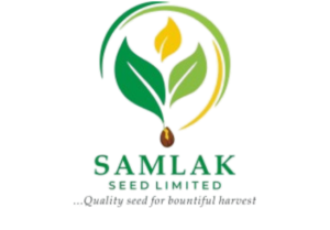 Samlakseeds11